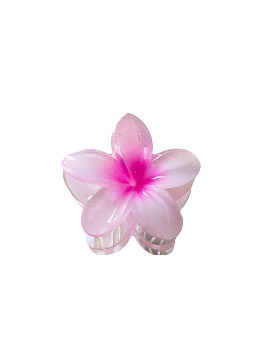 FLOR ROSA HAWAI