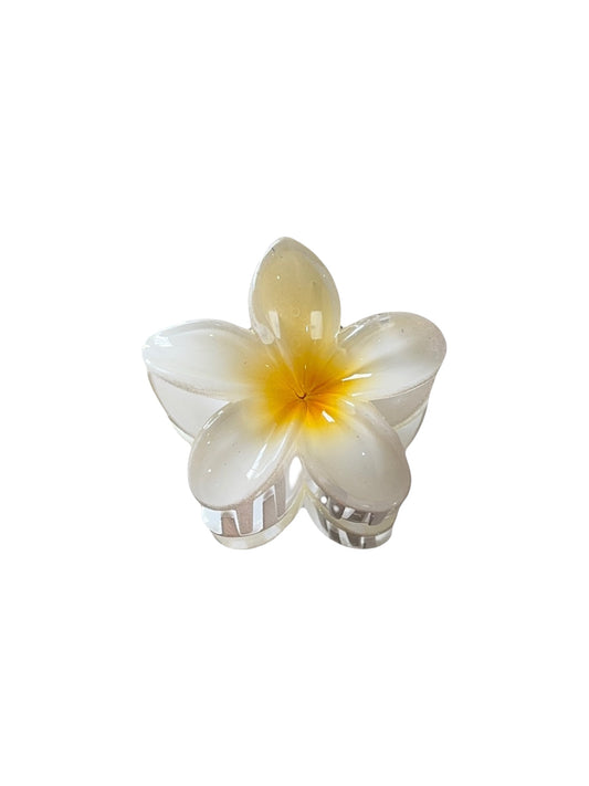 FLOR AMARILLA HAWAI