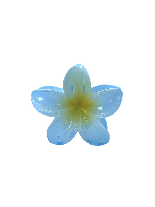 FLOR AZUL HAWAI